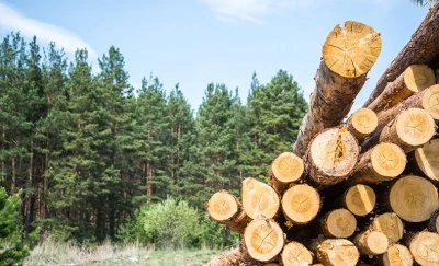 Benefits of FSC